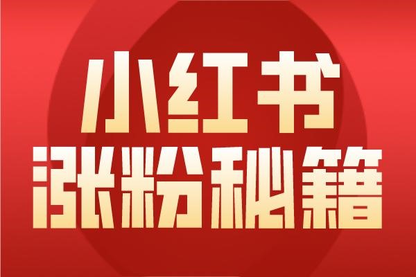 一个手机登上几个小红书？